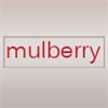 Mulberry - Austin Food, Wine & Bar