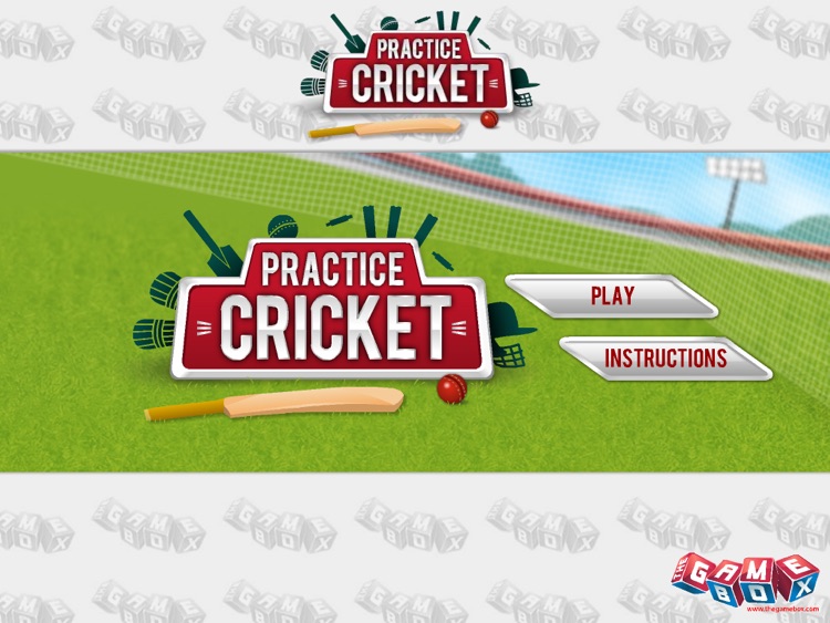 Practice Cricket