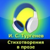 И. С. Тургенев, Стихотворения в прозе (аудиокнига)