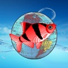 Fish-Encyclopedia