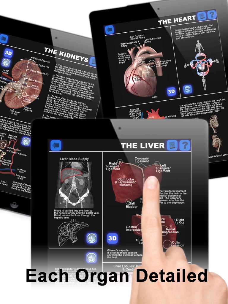 Anatomy 3D: Organs screenshot 2