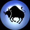 Taurus Night Light