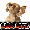 Always Cute iLOL Dogs-3,001 Pics + Vids