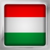Hungarian Flip - Flashcards with Progress Tracking