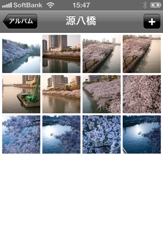 PhotoAlbums for Picasa screenshot 3