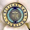 Critical Care Nursing: Pulmonary, Renal, GI, and Shock