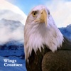 Wings Creature
