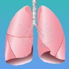 Pulmonary System