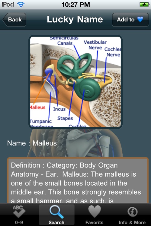 VISUAL: Organ Anatomy screenshot-3