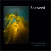 Seaweed - art meets science