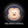 pikaboo animal