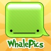 I'm Whale