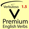 English Verbs Premium