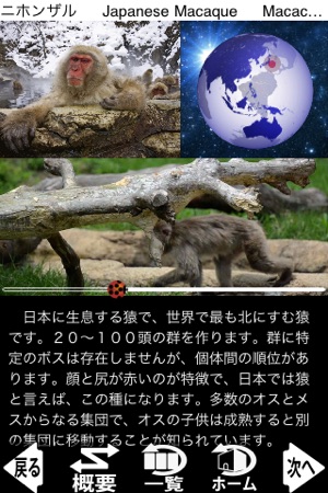 Animal Life mini JP FREE(圖1)-速報App