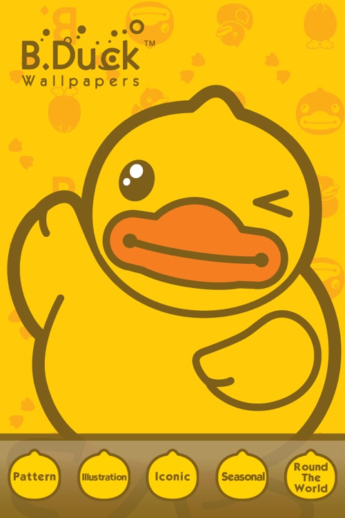 Domestic Duck - bird wallpaper for iPhone by birnimal on DeviantArt