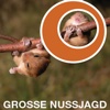 Nussjagd