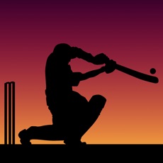 Activities of Little Master Cricket