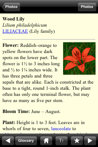 Wildflowers Along The Way - Lite screenshot 3