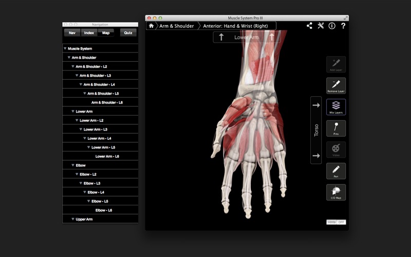 Muscle System Pro III screenshot1