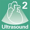 Diagnostic Ultrasound Video Clips #2 Acquired Heart Disease