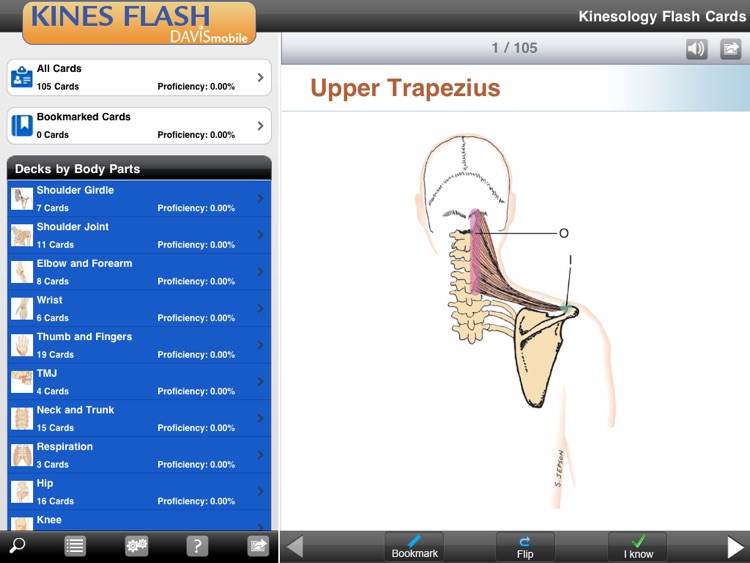 Kinesiology Flash Cards for iPad