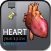Basic Heart Pins Animation