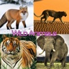 Animals in the Wild with Voice Recording by Tidels