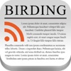 Birding RSS