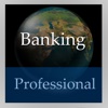 Banking Handbook (Professional Edition)