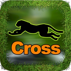 Activities of Cheetah Cross Game HD Lite