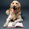 The Complete Dog Directory