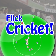 Activities of Flick Cricket