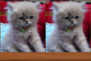 How to cancel & delete Cats Spot the Difference from iphone & ipad 1