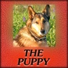 The Puppy A True Story