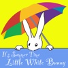 Summer Bunny - A Children's Story