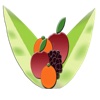 Fruits Info for iPhone