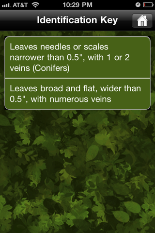 Key to Woody Plants of Wisconsin Forests screenshot 2