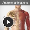Anatomy animations