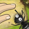 Ant's Village for iPad