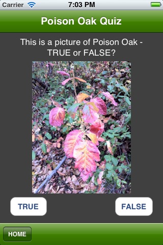 Poison Oak Quiz screenshot-3