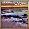 Sounds of Waves