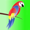 Parrot Breeding Guide
