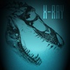 X-Ray the World!