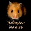 Hamster Names: Pet Baby Names for your Hamster