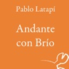 Andante con Brío