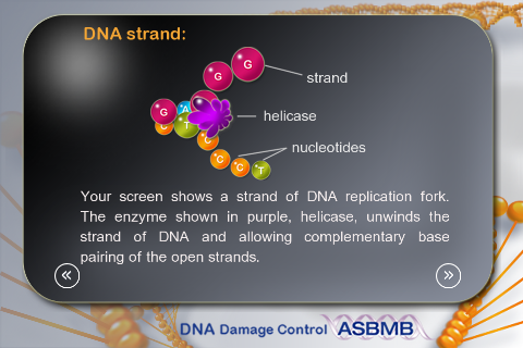 DNA Damage screenshot 3