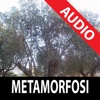 Audiolibro - Ovidio: Metamorfosi - lettura di S...