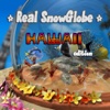 Real SnowGlobe Hawaii