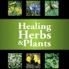 Healing Plants & Herbs