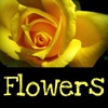 Flowers with Voice Recording by Tidels